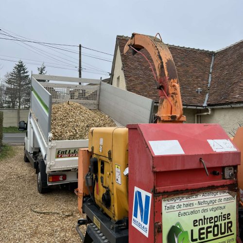 2663927229651956268 2663927229651956268