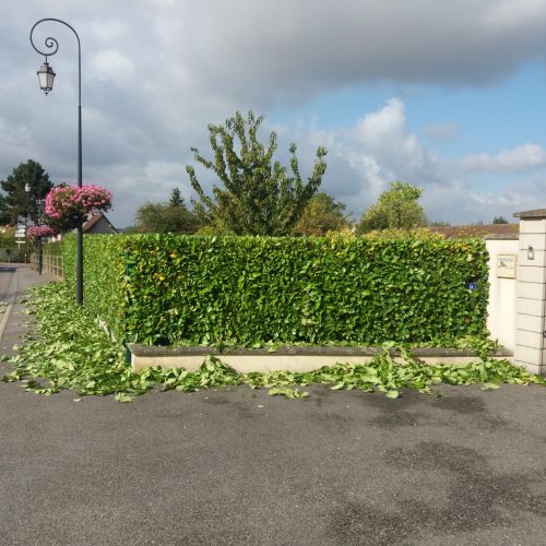 6385079666643895987 6385079666643895987