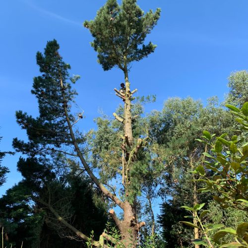 7716213127017467345 7716213127017467345